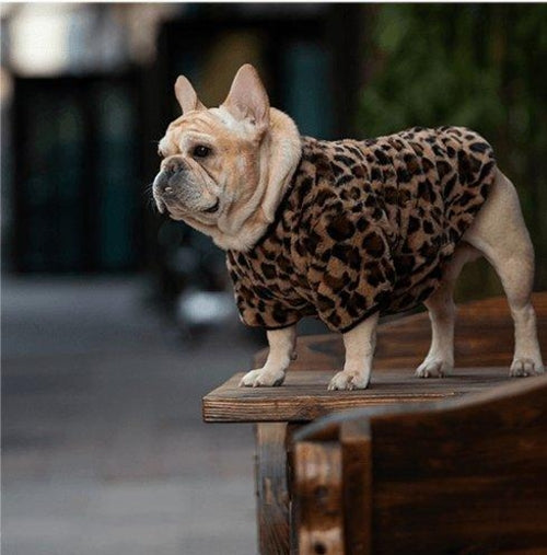 Cozyfluff Winter Dog Clothes - Warm And Stylish Pet Apparel For